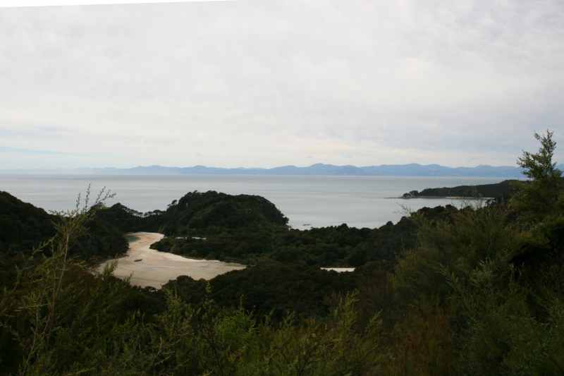 Nieuw-Zeeland 2011 - 1028